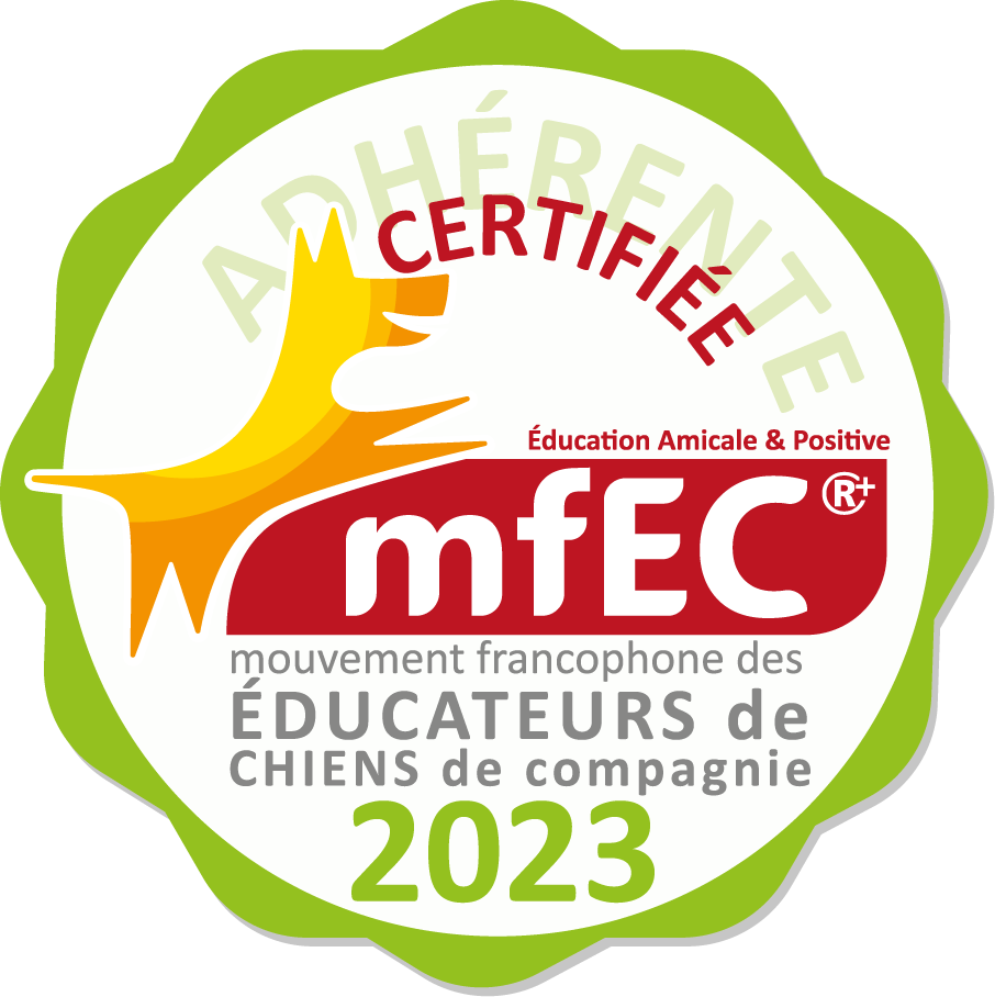 Logo certification MFEC